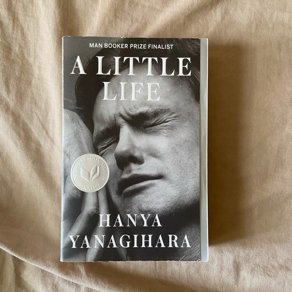 A Little Life by Hanya Yanagihara (book)